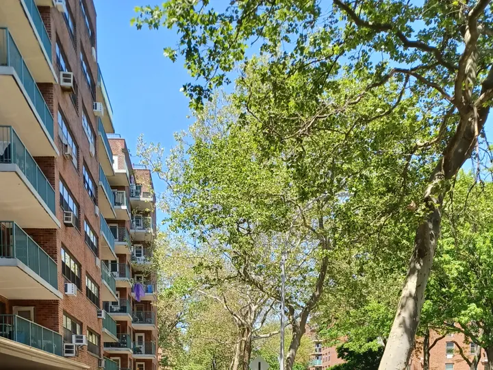 Kings Bay Houses on Batchelder Street: brick walls, stacked balconies and window air conditioners running back along the block on the left, plane trees filling the right of the frame and a neighbouring brick building beyond them.