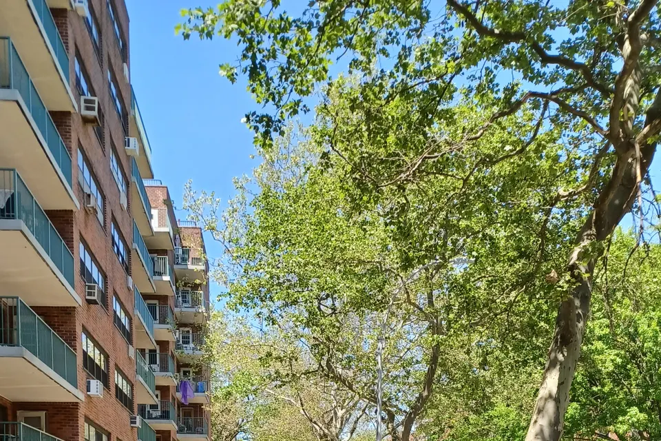 The Batchelder Street elevation seen from below: eight storeys of brick, glazed balconies and window air conditioners receding along the block, with a plane tree and open sky down the right of the frame.